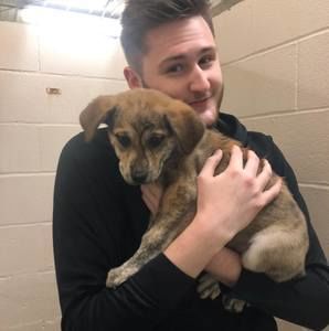 Meet your Posher, Evan